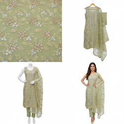 Pista Dew Organza Embroidered Suit Set