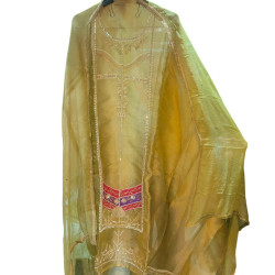 Golden-Green Glass Tissue Suit