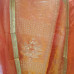 Vibrant Orange Glass Tissue Suit with Gold-Bordered Chiffon Dupatta