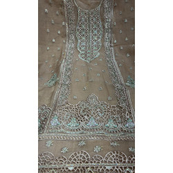 Ethereal Taupe Organza Cutwork Suit Set