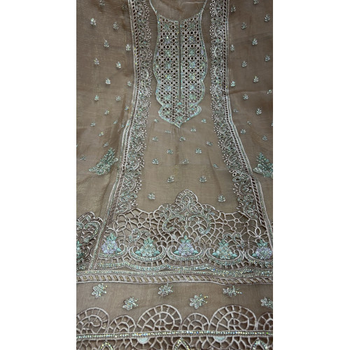 Ethereal Taupe Organza Cutwork Suit Set
